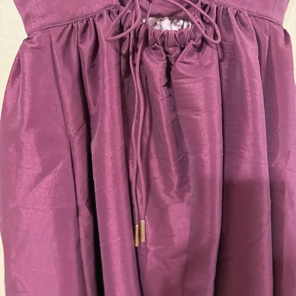 Acler Redin Ombré Maxi Pink Structured Lace Up Back Dress size US 8 $550 MSRP - Picture 11 of 13